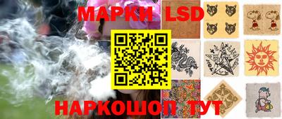 mdpv Бердск