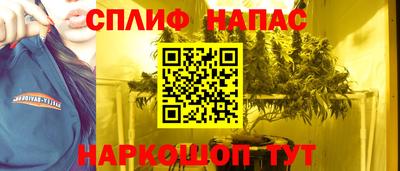 стафф Брянск