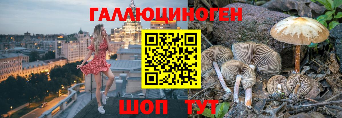 Губаха  Галлюциногенные грибы Magic Shrooms  закладки  Вход с VPN 