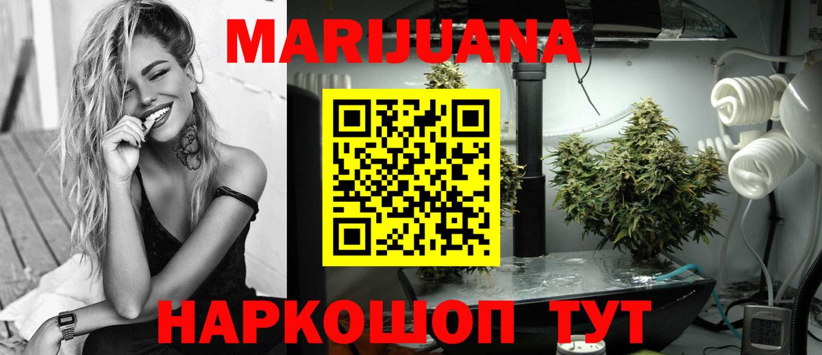 Каннабис план Губаха